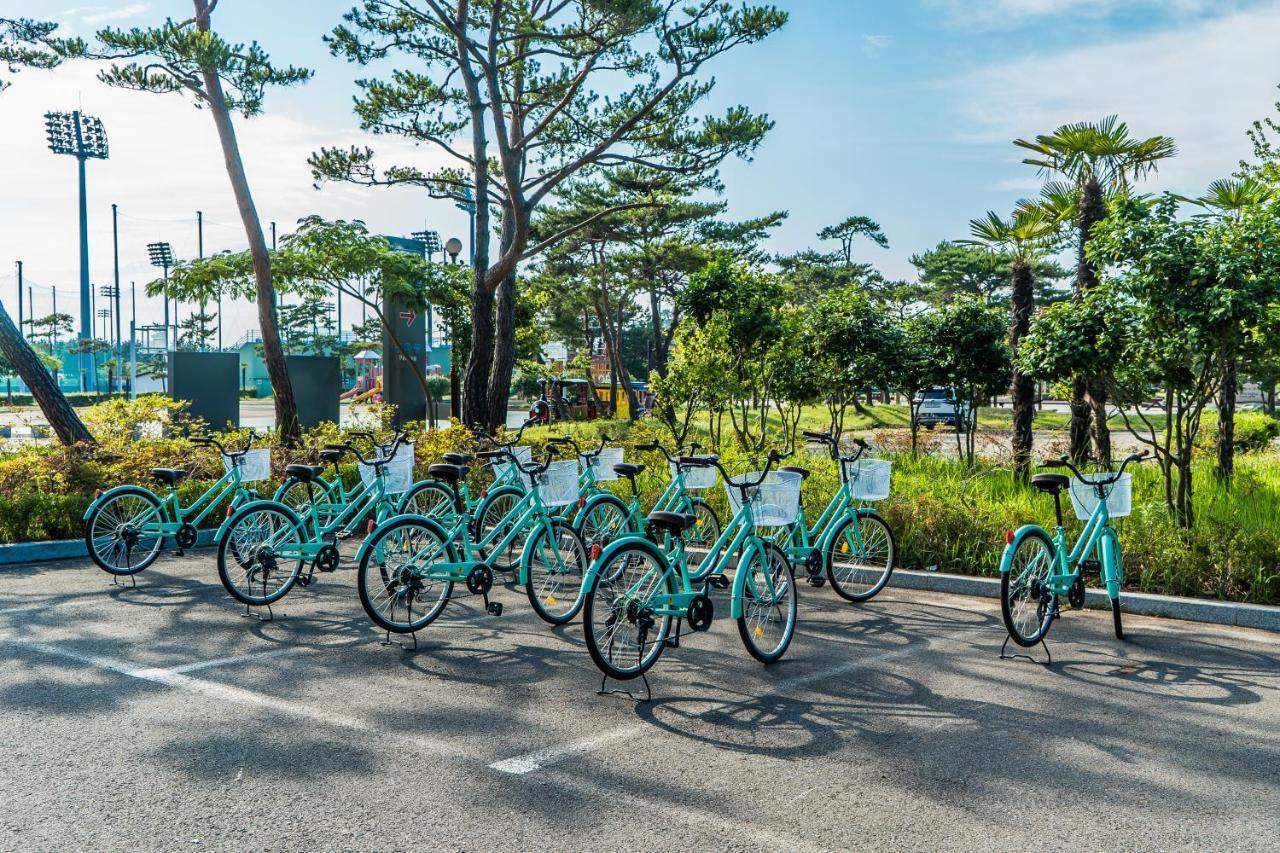 Namhae Sports Park Hotel Ngoại thất bức ảnh